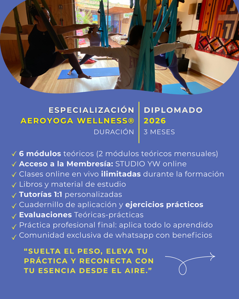 Diplomado de Especializa Aeroyoga Wellness