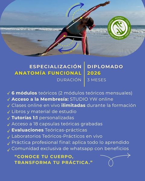Diplomado de Especialización:  Anatomía funcional para el Yoga 