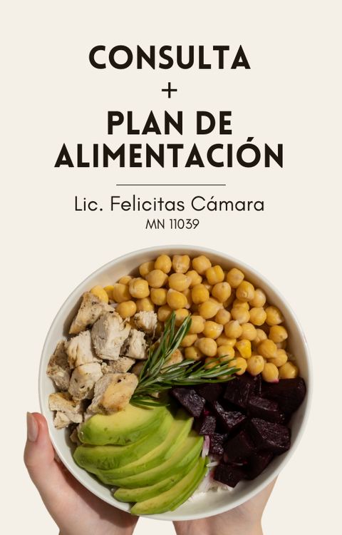 PLAN DE ALIMENTACIÒN + CONSULTA