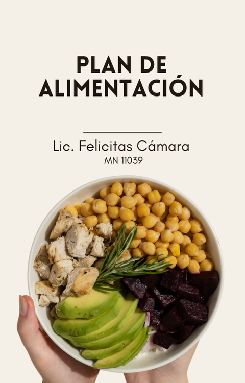 PLAN DE ALIMENTACION