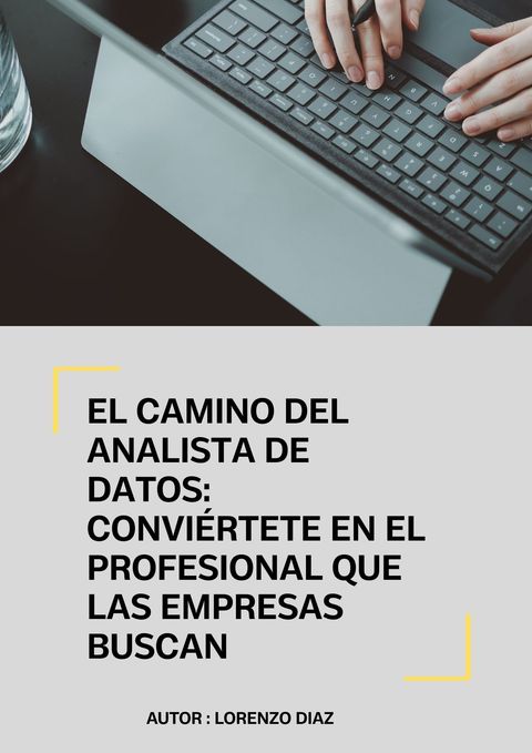 El Camino del Analista de Datos: Conviértete en el Profesional que las Empresas Buscan