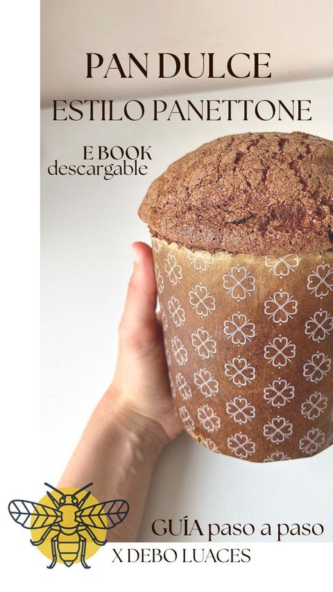 Guía paso a paso - Pan Dulce estilo Panettone 