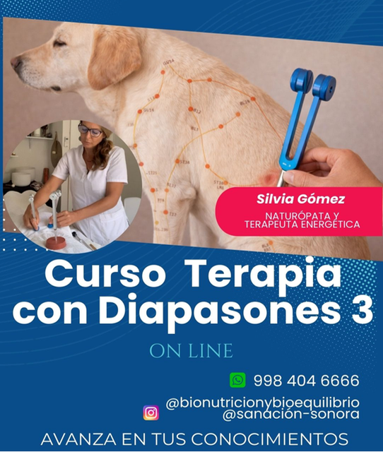 CURSO NIVEL 3 DE TERAPIA CON DIAPASONE ON LINE
