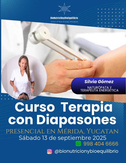 Curso de Terapia con Diapasones en Mérida Nivel 1