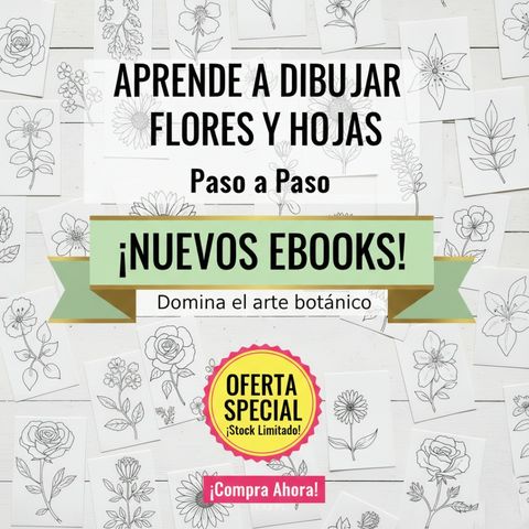 E Book Aprende a Dibujar Flores y Hojas