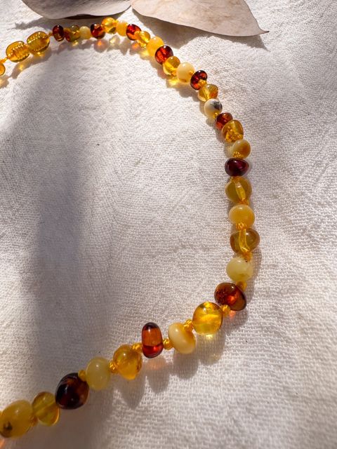 Collar Ámbar - Adultos