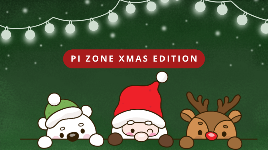 PI ZONE XMAS EDITION