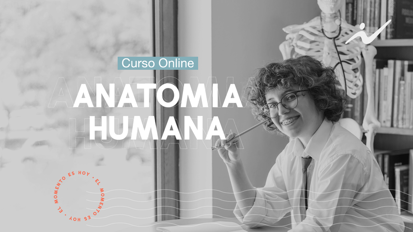 Anatomía Humana