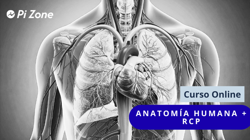 Curso de Anatomía Humana + RCP