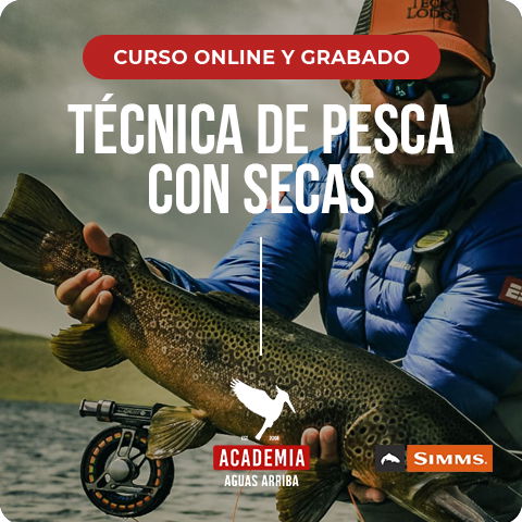 Técnica de Pesca con Secas - Nivel 1 - Curso grabado