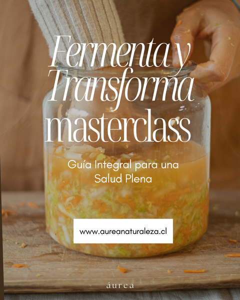 Fermenta y Transforma: Masterclass