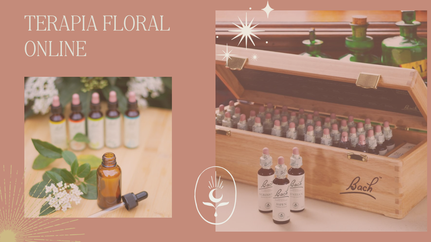 🌸 Terapia Floral Online – Flores de Bach