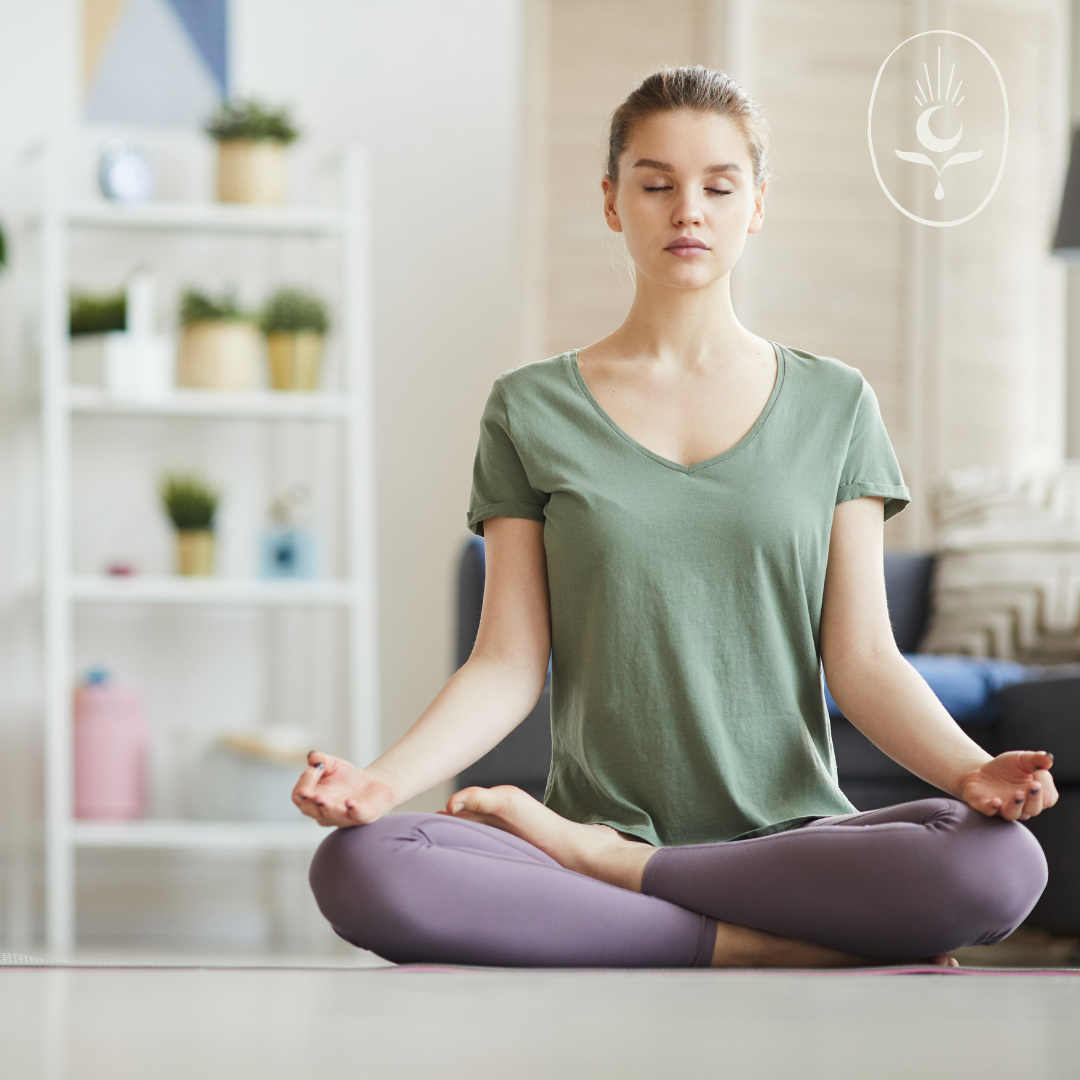 Meditaciones Dual