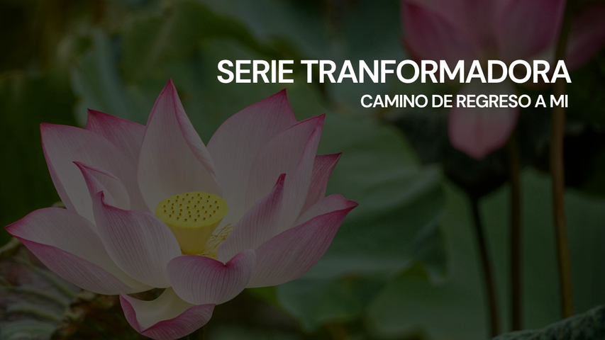 Serie transformadora - Camino de Regreso a Mí (5 grabaciones + EBOOKS)