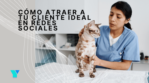 Cómo atraer a tu cliente ideal en redes sociales