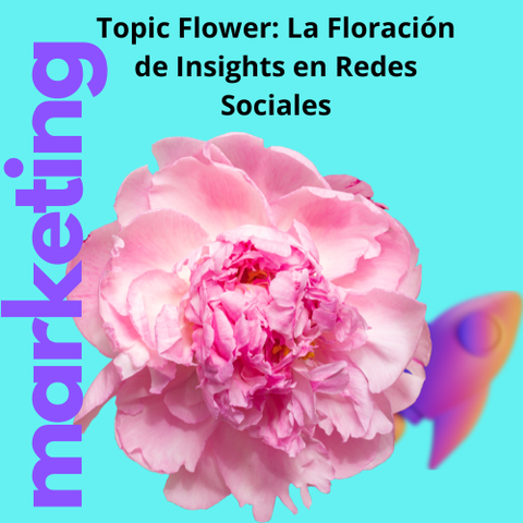 Topic Flower: La Floración de Insights en Redes Sociales