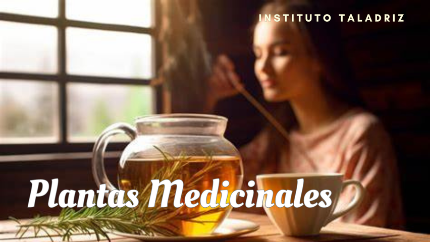 Masterclass: Fitoterapia y Plantas Medicinales 🍀