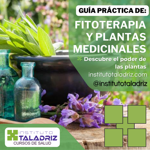 Fitoterapia y Plantas Medicinales 🍀| Guía Práctica
