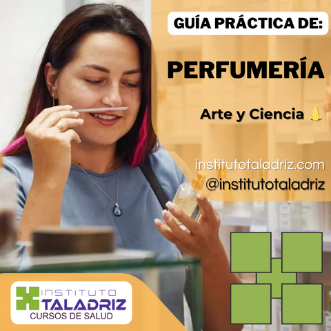 Perfumería: Arte y Ciencia 👃| Guía Práctica