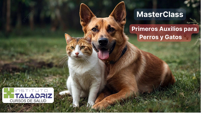 Masterclass: Primeros Auxilios para Perros y Gatos 🐾