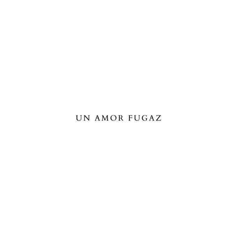 Libro - Un amor fugaz