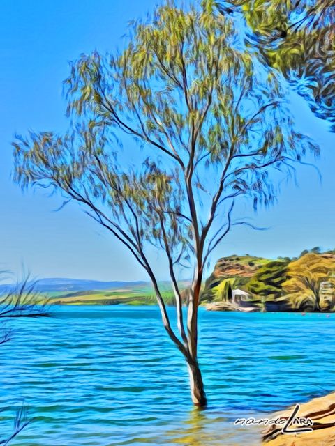 Embalse del Guadalhorce