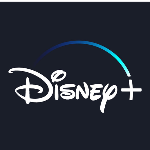 Disney 1 Perfil x 30 Dias