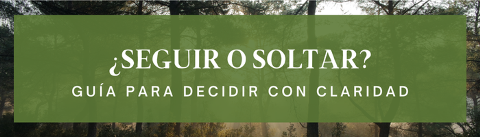 ¿Seguir o Soltar? Guía para decidir con claridad