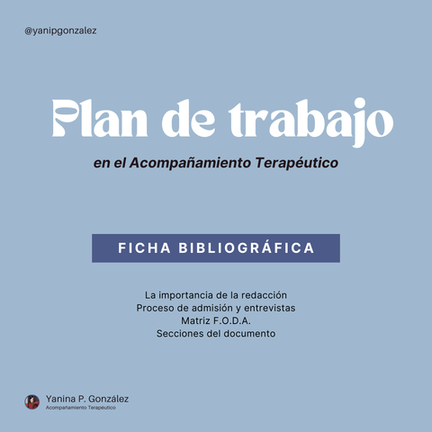Plan de trabajo en el Acompañamiento Terapéutico