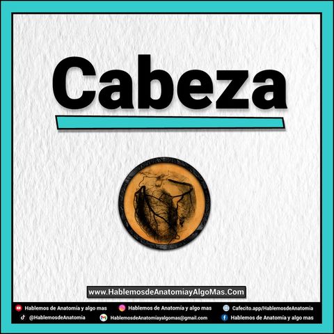 PROXIMAMENTE - Cabeza