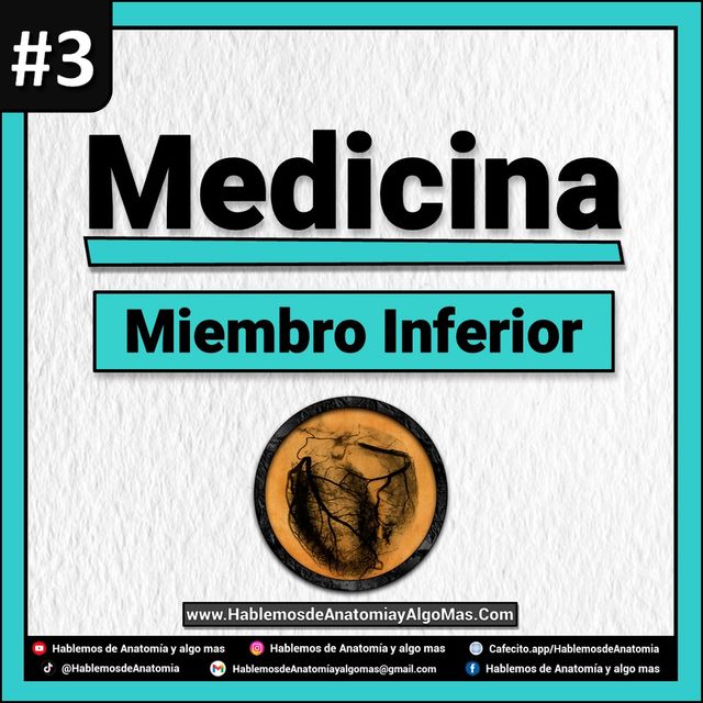 PROXIMAMENTE - Miembro Inferior