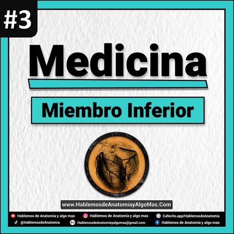 PROXIMAMENTE - Miembro Inferior