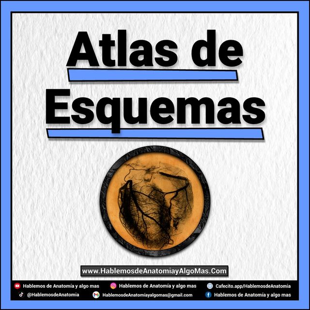 Atlas de Esquemas