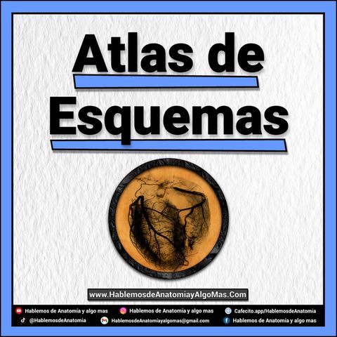 Atlas de Esquemas