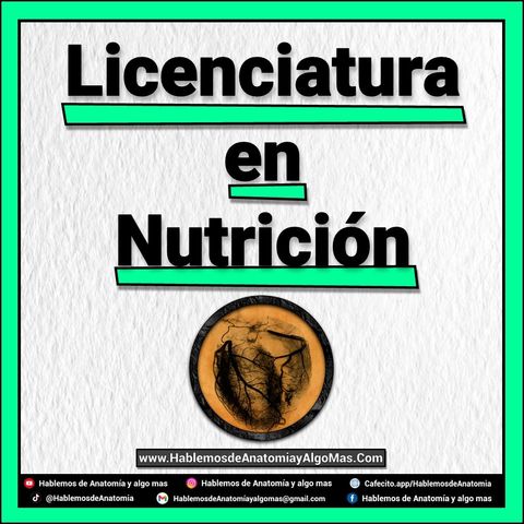 Licenciatura en Nutricion