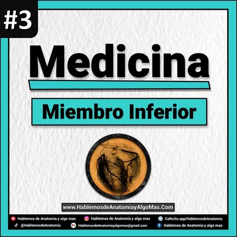 Medicina - Miembro Inferior