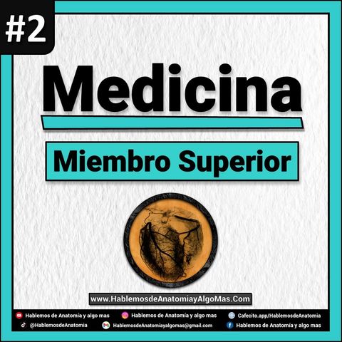 Medicina - Miembro Superior 