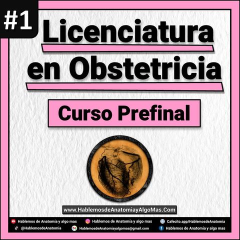 Licenciatura en Obstetricia