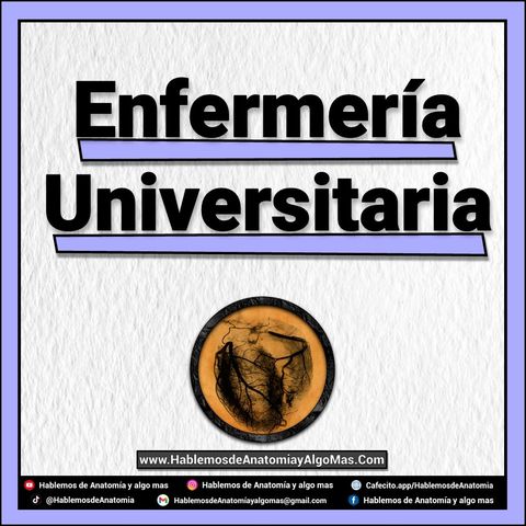 Enfermeria Universitaria 
