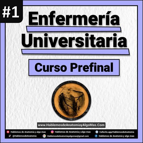 Enfermeria Universitaria 