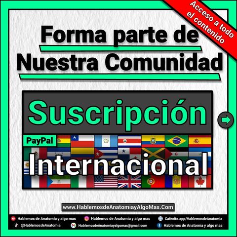Suscripcion INTERNACIONAL