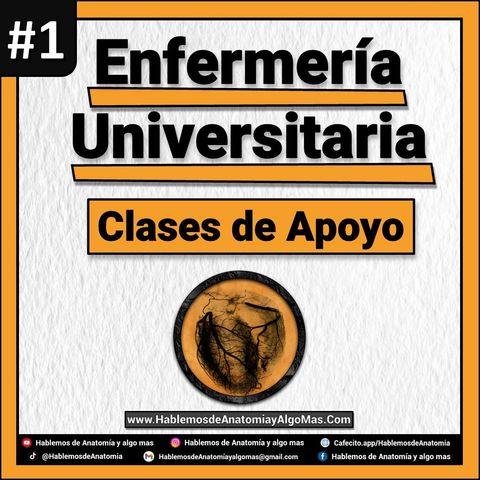 Enfermeria - Clases de Apoyo
