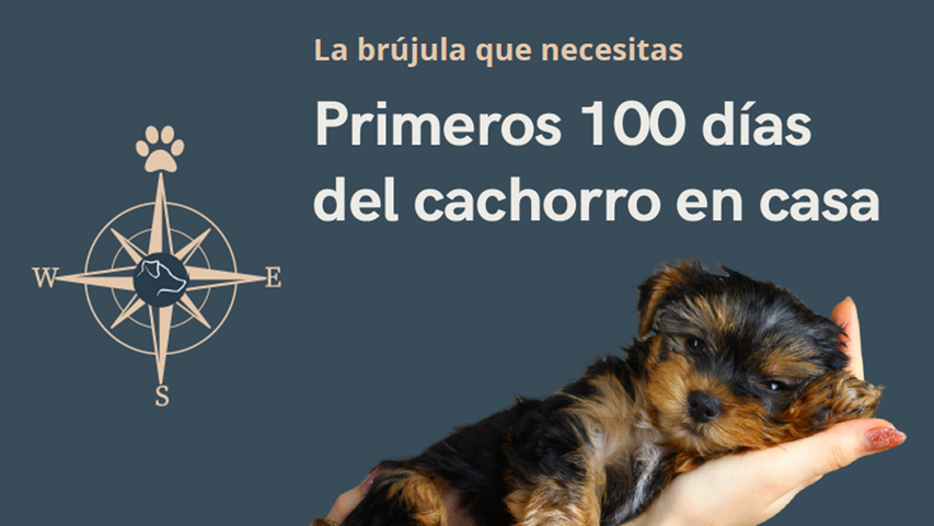 Ebook / Primeros 100 días del cachorro en casa: la guía esencial para criar con amor, comprensión y equilibrio