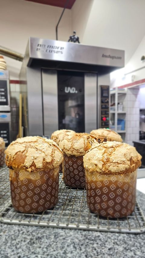 PAN DULCE TRADICIONAL Y CONTEMPORANEO			