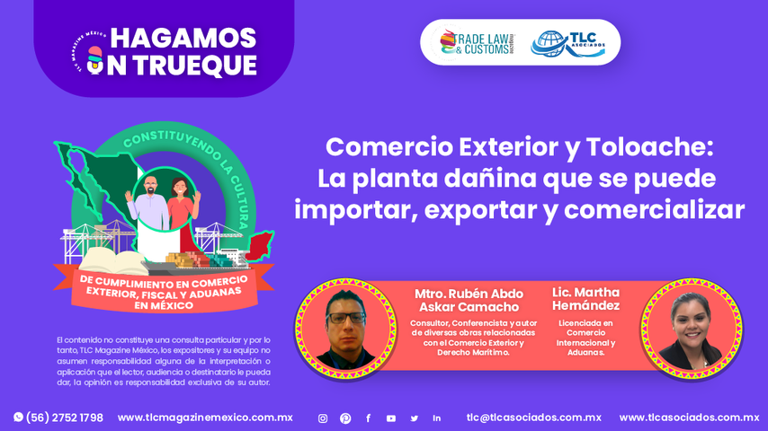 Hagamos un Trueque - Comercio Exterior y Toloache - La planta dañina que se puede importar, exportar y comercializar por el Mtro. Rubén Abdo y la Lic. Martha Hernández