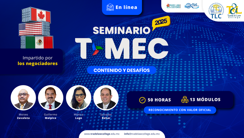 Seminario en línea 
