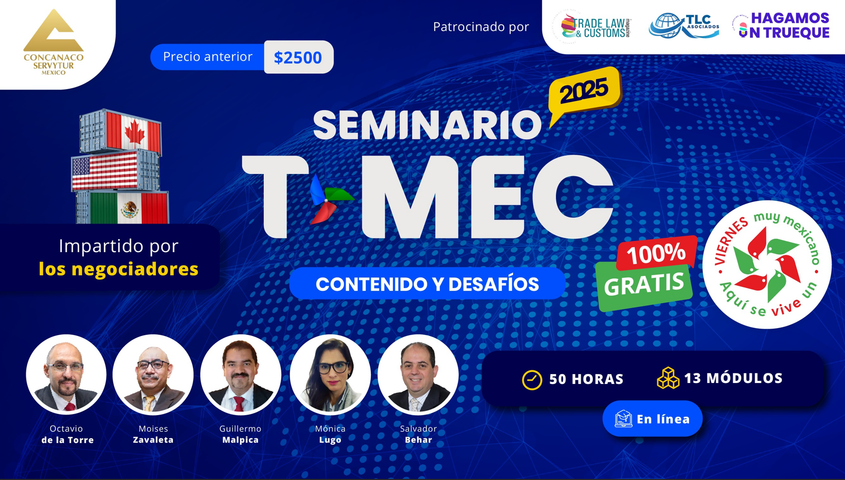 Seminario en línea 