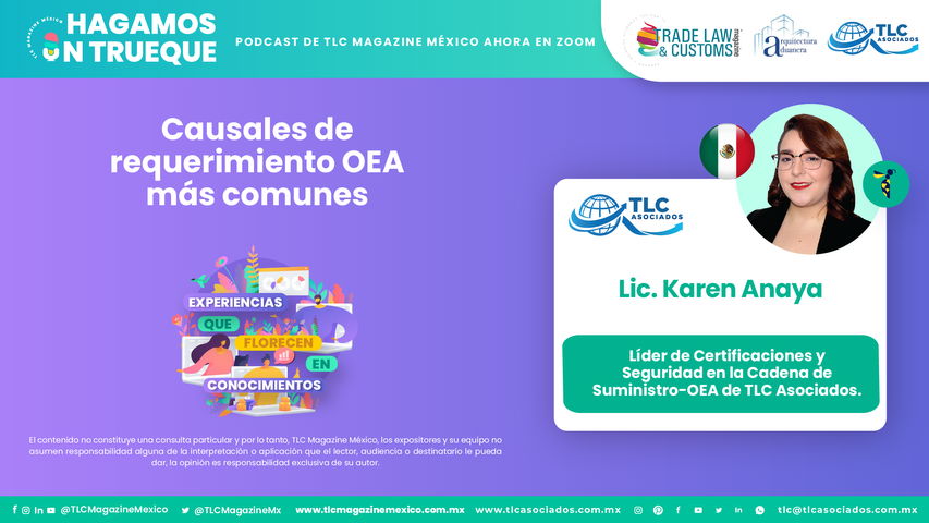 Bee Conocimiento - Causales de requerimiento OEA más comunes por la Lic. Karen Anaya