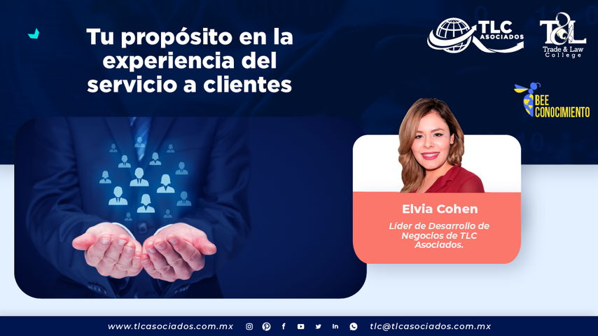 Bee Conocimiento: Tu propósito en la experiencia del servicio a clientes por Elvia Cohen