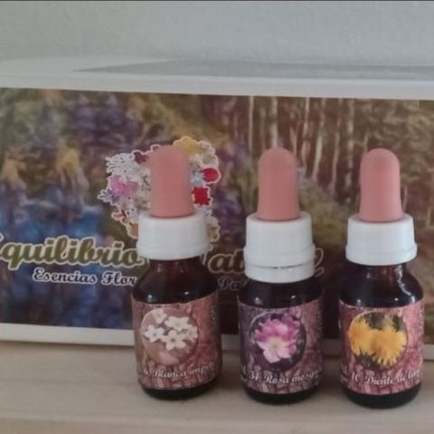 Sistema floral de bosque andino 44 esencias